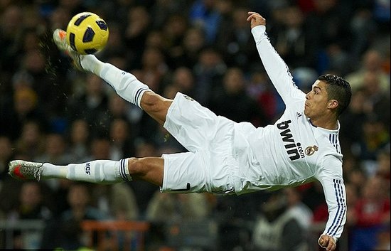 重要的作用 重要的作用