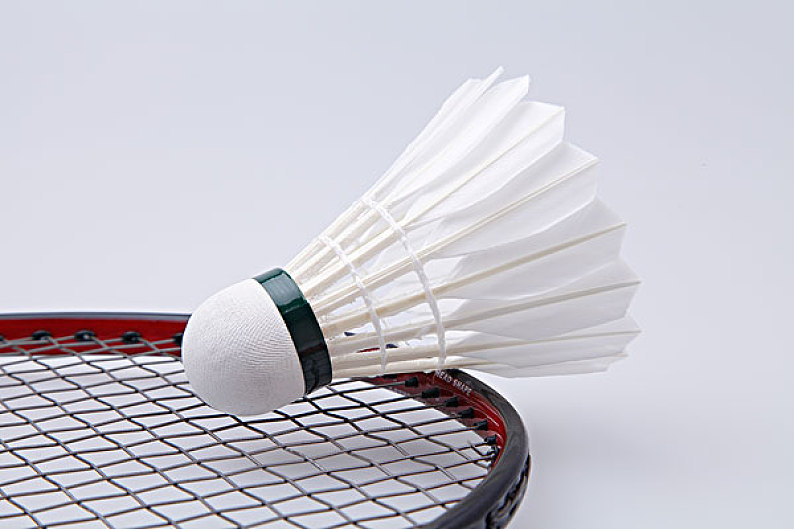 捉能力及与 捉能力及与