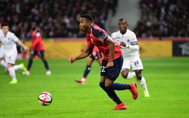 游泳界的焦 游泳界的焦